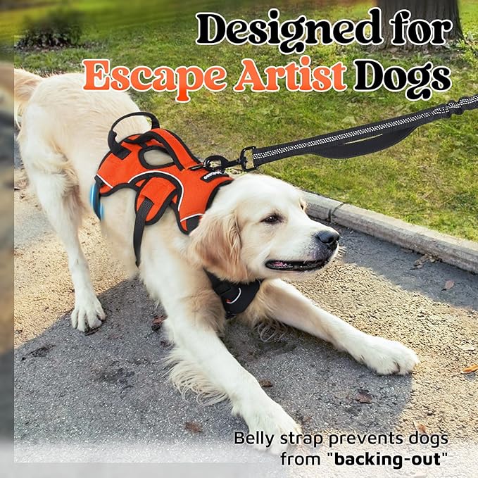 rabbitgoo Escape Proof Dog Harness, Soft Padded Full Body Pet Harness, Reflective Adjustable No Pull Vest with Lift Handle and Leash Clip for Large Dogs Walking Hiking Training, M, Orange