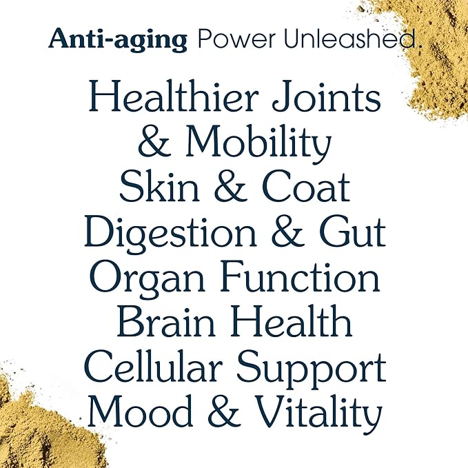 Senior Dog Powder Supplement & Food Topper – 63 Ingredients for Joint, Gut, Immune & Brain Health – Daily Longevity Multivitamin with Glucosamine, Probiotics, and Fish Oil | 60 Scoops