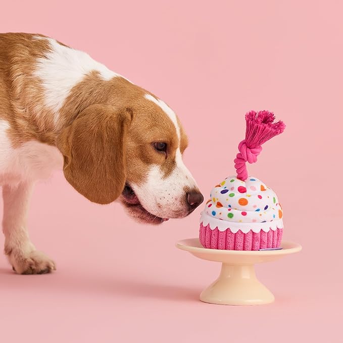 LE SURE Dog Birthday Cake Toy - Cute Squeaky Dog Toy for Gentle Chewers with Interactive Tug Rope, Plush Interactive Toy for Adult Dogs Birthday Party, Standard, Pink