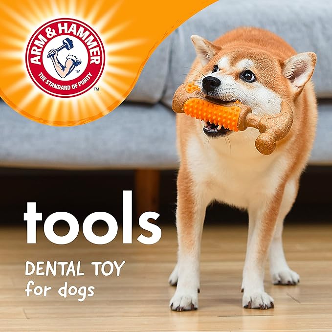 Arm & Hammer for Pets Chew Tools Collection: Wood Blend Hammer Chew Toy for Dogs | Compressed Wood Dog Chew Toys with Baking Soda, Safer & Durable Alternative to Chewing Sticks