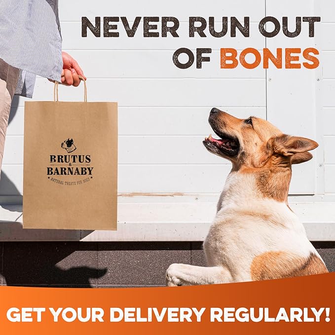 BRUTUS & BARNABY Marrow Bones for Dogs – 100% USA-Sourced Beef Bones – Long-Lasting, All-Natural Dog Chews – High Protein, Supports Dental Health, (6-pk) – Made in The USA