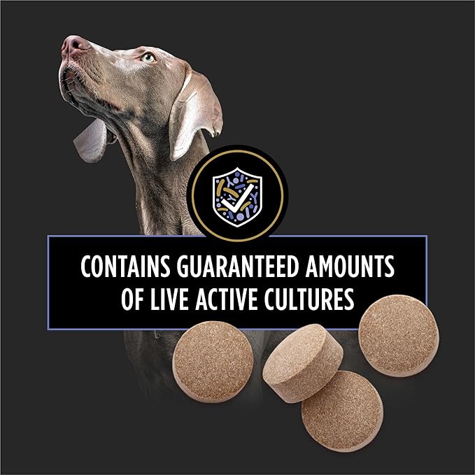 Purina Pro Plan Veterinary Supplements FortiFlora Probiotics for Dogs Chewable Tablets for Digestive Gut Health and Diarrhea - 45 ct. Canister