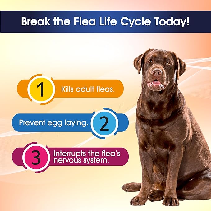 Say Good Bye to Flea and Ticks in Dogs & Cats Defender - Include 3ml Dropper with Cap