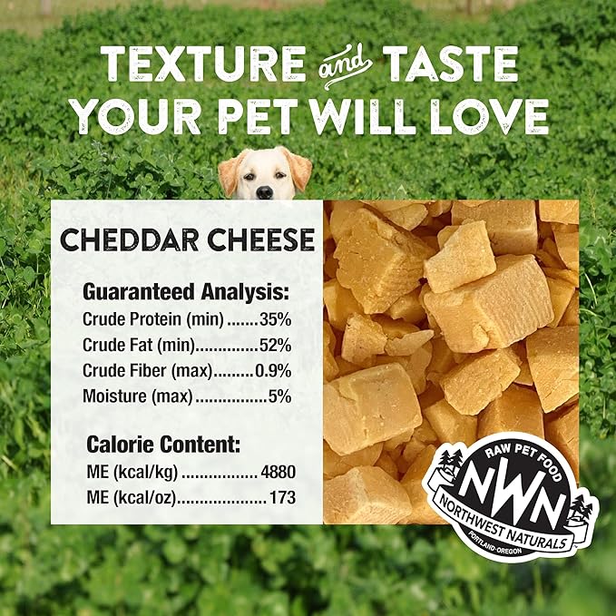 Northwest Naturals Raw Rewards Freeze-Dried Cheddar Cheese Treats for Dogs and Cats - Bite-Sized Pieces - Healthy, 1 Ingredient, Human Grade Pet Ingredients, All Natural, Proudly Made in USA, 6 Oz