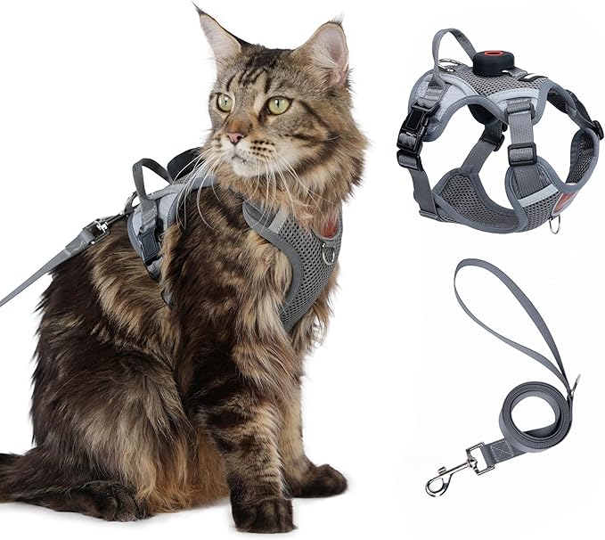 Cat Harness and Leash Set with AirTag Holder: Upgraded Escape Proof Vest with Lead for Small Dog Puppy Large Cat Walking，Soft Breathable Mesh Coat with Reflective Strip (Grey, M)