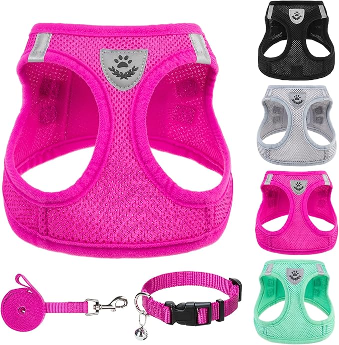 PUPTECK Adjustable Dog Harness Collar and Leash Set Step in No Pull Pet Harness for Small Medium Dogs Puppy and Cats Outdoor Walking Running, Soft Mesh Padded Reflective Vest Harnesses, Solid Pink XS