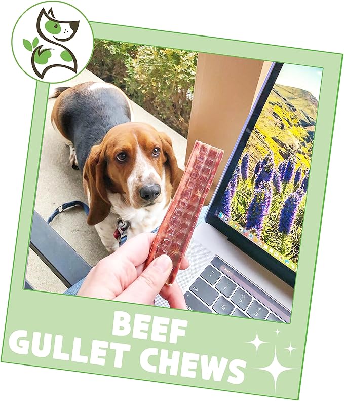 Nature Gnaws Beef Gullet Chews for Small Dogs 4-5" (20 Count) - Natural Beef Jerky Stick Dog Chew Treats - Rawhide Free
