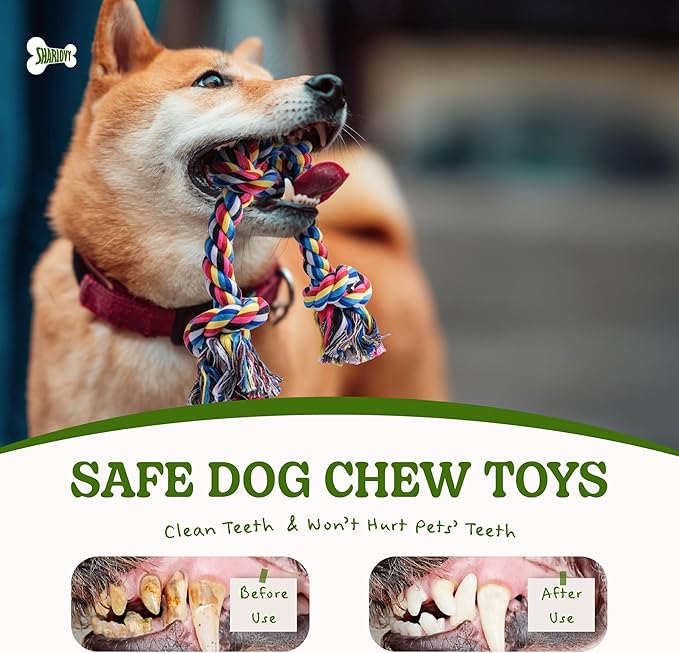 2 Pack Dog Rope Toy for Small Dogs, Puppy Teething Toys, Durable Cotton Puppy Chew Toys for Teething, Small Dog Toys for Aggressive Chewers, Interactive Tug of War Dog Toy for Puppies Boredom