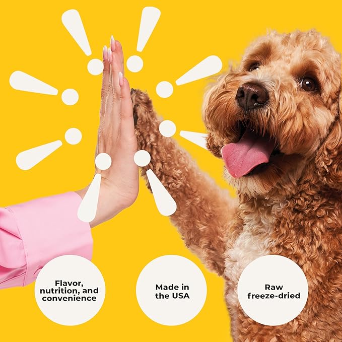 Bow Wow Beef - Freeze Dried Raw Dog Food, Complete Meal, Beef Liver and Kidney Bites for Training, Meal Topper, High Protein, 21g Per Cup, Made in The USA, 20oz Bag