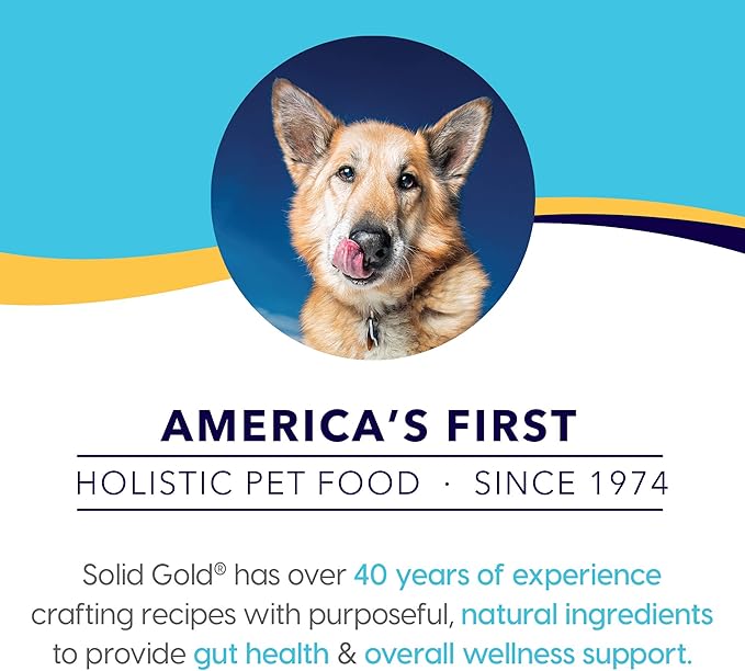 Solid Gold Canned Dog Food for Adult & Senior Dogs - Made with Real Lamb and Healthy Whole Grains - Hund-N-Flocken High Calorie, High Protein Wet Dog Food