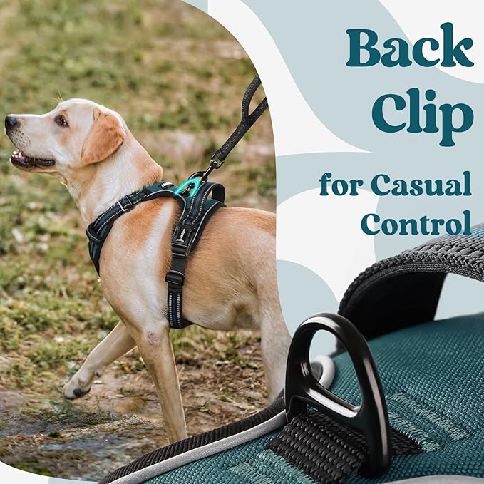 rabbitgoo Dog Harness for Large, No Pull Pet Harness with 3 Buckles, Adjustable Soft Padded Vest with Control Handle, Walking Reflective Pet Vest for Extra Large Dogs,Blue Coral,XL