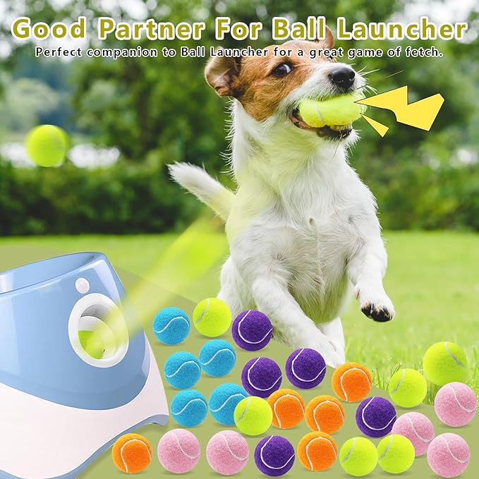 Magicorange 20 Pack Small Tennis Balls, 2 inch Squeaky Tennis Ball for Dogs,Colorful Easy Catching Squeaky Dog Balls with Mesh Bag for Easy Transport (Multicolor)