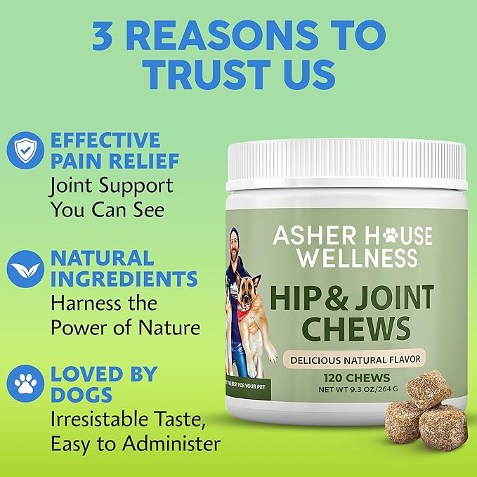Asher House Wellness Hip and Joint Supplement for Dogs - Natural Soft Chew with MSM, Chondroitin, Glucosamine, Vitamins - Promotes Joint Health & Pain Relief Senior & All Dog Breeds, Large, 120 Chews