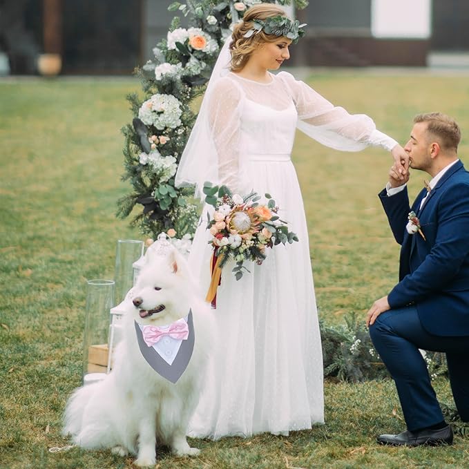 ADOGGYGO Formal Dog Tuxedo Wedding Pet Bandana Collar with Bowtie, Adjustable Birthday Wedding Formal Tux Costumes for Large Dogs Pets (L, Grey)