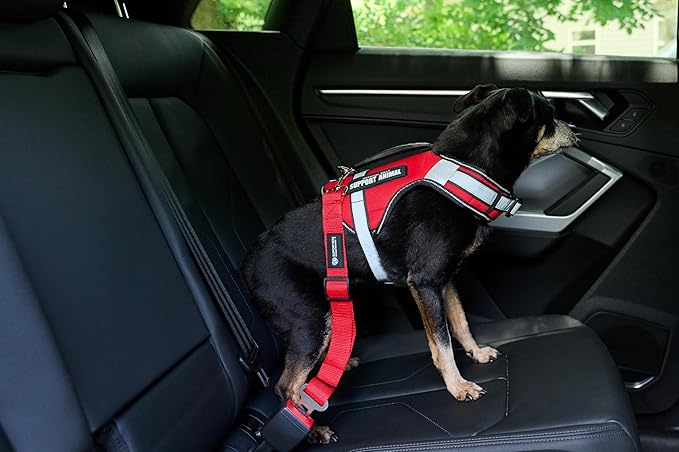 Support Pets Adjustable Pet Seatbelt – Red Car Safety Harness Clip for Dogs & Support Animals – Durable Nylon Travel Restraint – Vehicle Seatbelt Buckle Attachment for Secure Pet Travel