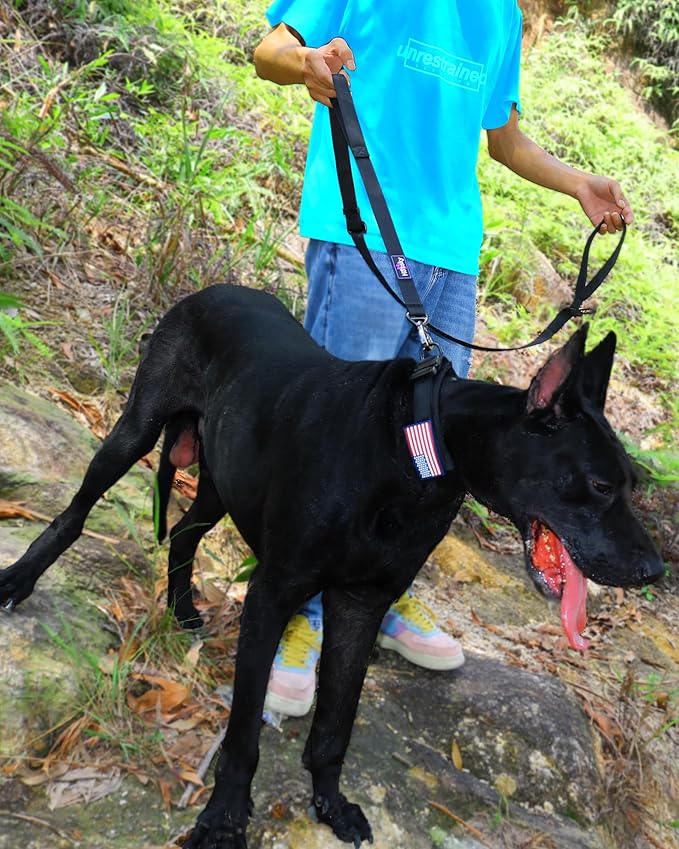 Hotsky Heavy Duty Dog Leash,4.5-6 FT Adjustable Durable Nylon Seatbelt Lead with Two Padded Traffic Handle and Carabiner for Large Medium and Small Breed Dogs,Black