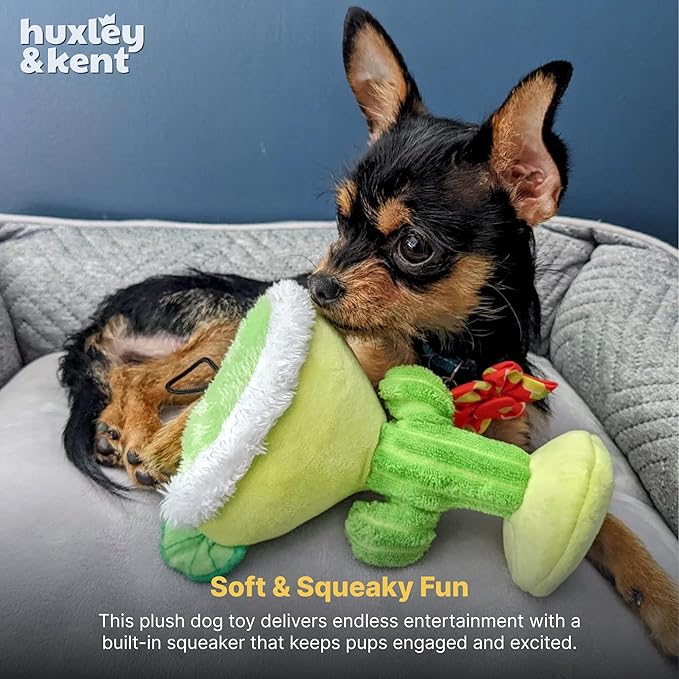 Huxley & Kent Funny Dog Toy w/Squeaker – Power Plush Squeaky Dog Toys for Small, Medium & Large Dogs – Soft Stuffed Animal for Indoor Play & Fetch - Margarita Loco, Small