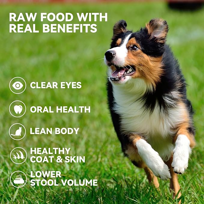 OPET Freeze Dried Chicken Breast Cat Treats for Cats & Dogs，Single Ingredient Grain Free High Protein Pet Food，Healthy Training Snacks (Chicken Breast-1.48 Ounce)