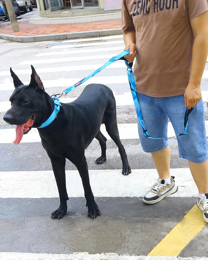 Hotsky Heavy Duty Dog Leash,4.5-6 FT Adjustable Durable Nylon Seatbelt Lead with Two Padded Traffic Handle and Carabiner for Large Medium and Small Breed Dogs,Blue Camo