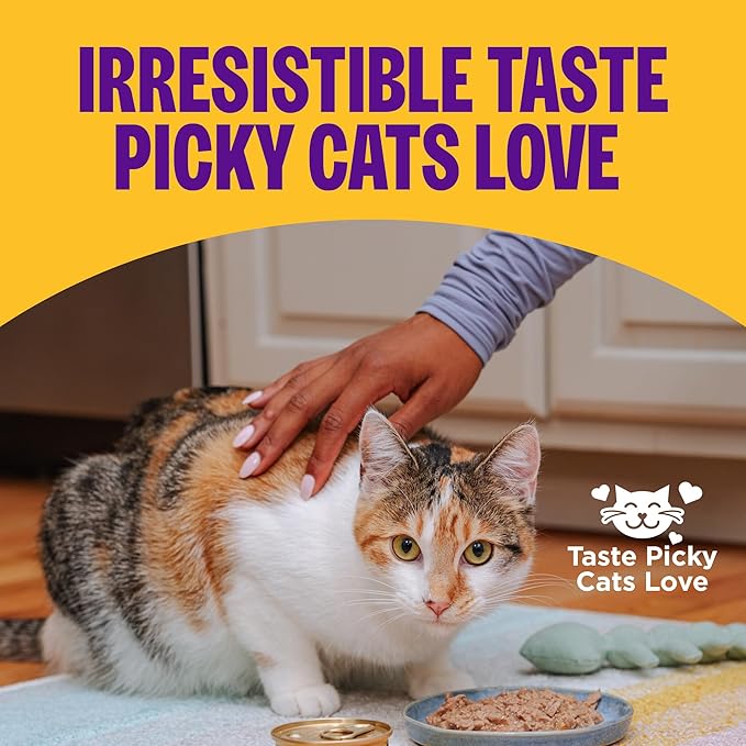 Wellness Complete Health Pate Adult Wet Cat Food, Natural, Protein-Rich, Grain-Free, 3 Ounce, 24 Pack, (Chicken & Herring)