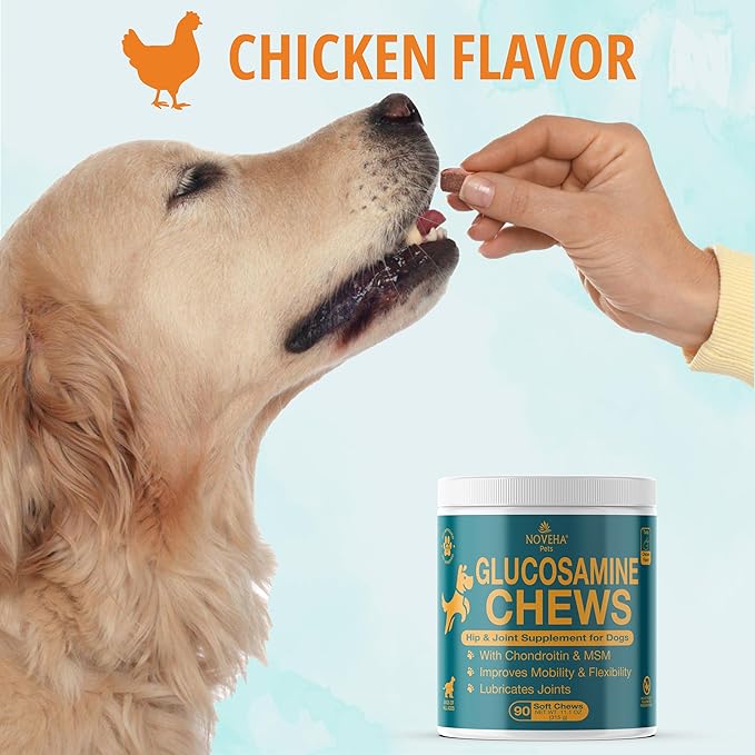 NOVEHA Dog Glucosamine Chews | Hip and Joint MSM Formula for Dogs Joint Care | Senior Pet Joint Health Supplement | Premium Glucosamine and Chondroitin for All Breeds | 90 Soft Chews; Chicken Flavor
