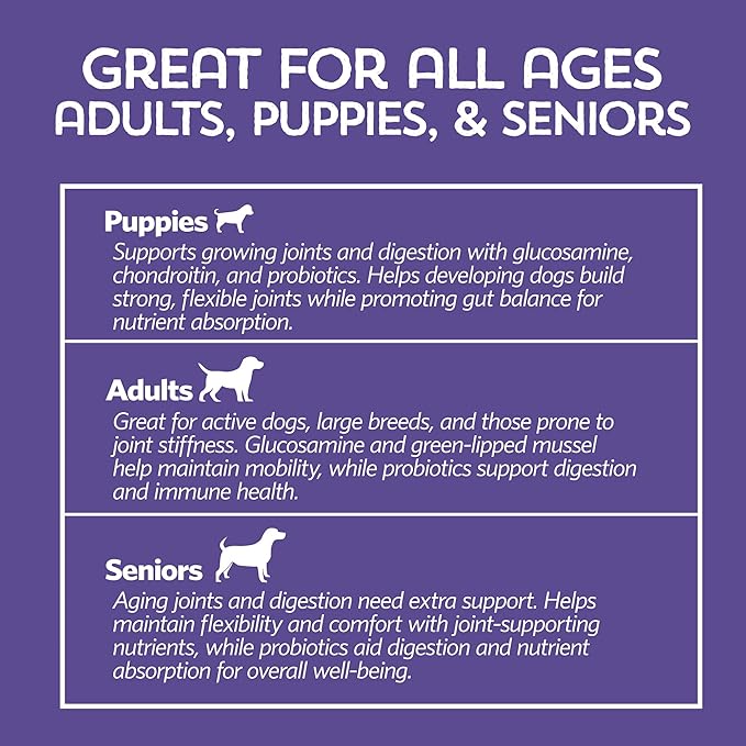 Fidobiotics Hip & Joint Support for Dogs, Daily Probiotics for Dogs with Glucosamine & Chondroitin for Gut Health and Mobility, Turmeric Tikka-Masala Flavor - 20 Servings