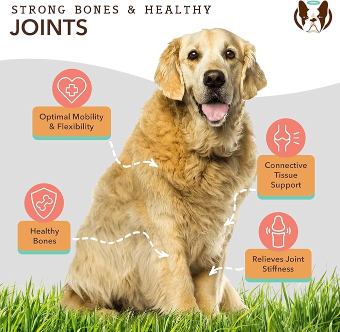 Natural Dog Company Healthy Joints, Skin and Coat Bundle for Dogs, Includes (1) Bottle Natural Dog Company Skin and Coat Oil, (1) Bottle Liquid Glucosamine, Food Topper, Dog's Fish Oil Supplement