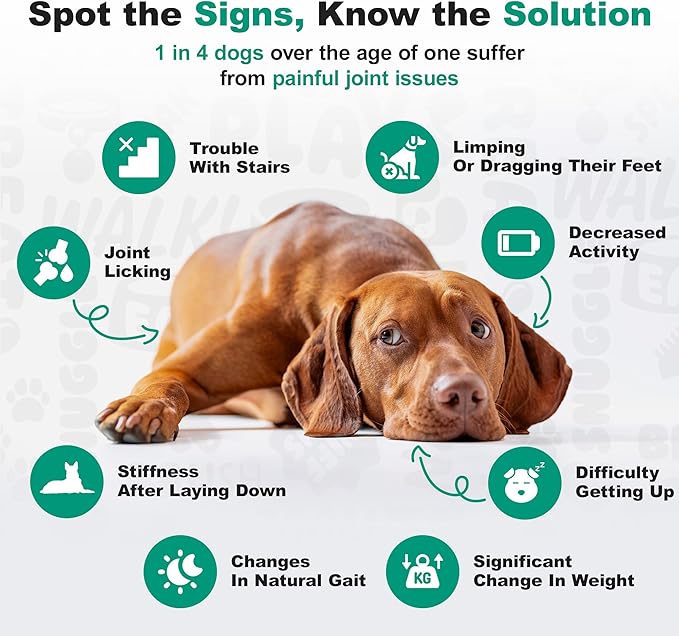 Doggie Dailies, Hip and Joint Supplement for Dogs, Glucosamine Chondroitin, Premium Hip and Joint Chews for Dogs All Breeds & Sizes, Dog Vitamins and Supplements, (Chicken) 225 Chews