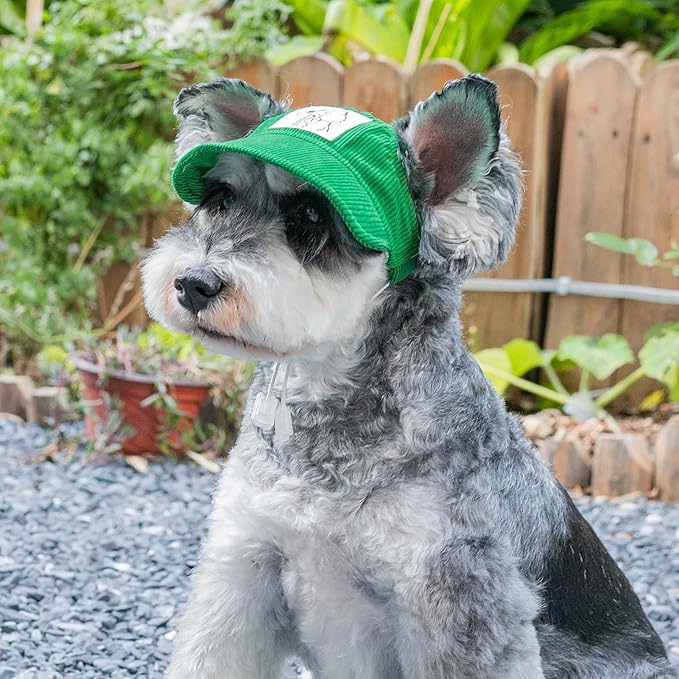 Pet Dog Baseball Cap, Cat Hat, Cat Dog Sun Cap with Ear Holes, Adjustable Puppy Outdoor Sun Hat (Green, Medium)