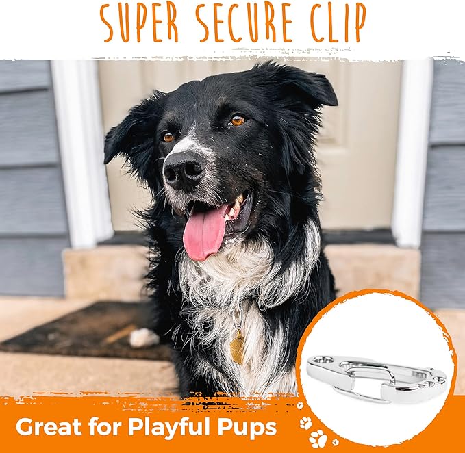 Mighty Paw Dog Tag Carabiner Clips - 3 Pack Strong Dog Clip - Weather Resistant & Easy to Clean Quick ID Holders - Easy Switch Pet Tags - Attach Keys or Poop Bag Holders - for All Size Collars