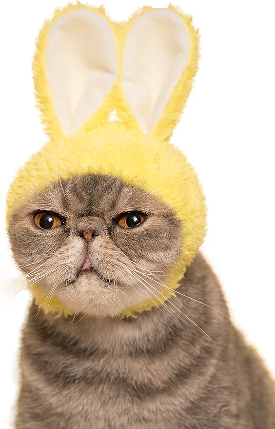 Kitan Club Cat Cap - Pet Hat Blind Box Includes 1 of 5 Cute Styles - Soft, Comfortable - Authentic Japanese Kawaii Design - Animal-Safe Materials, Premium Quality (Rabbit)