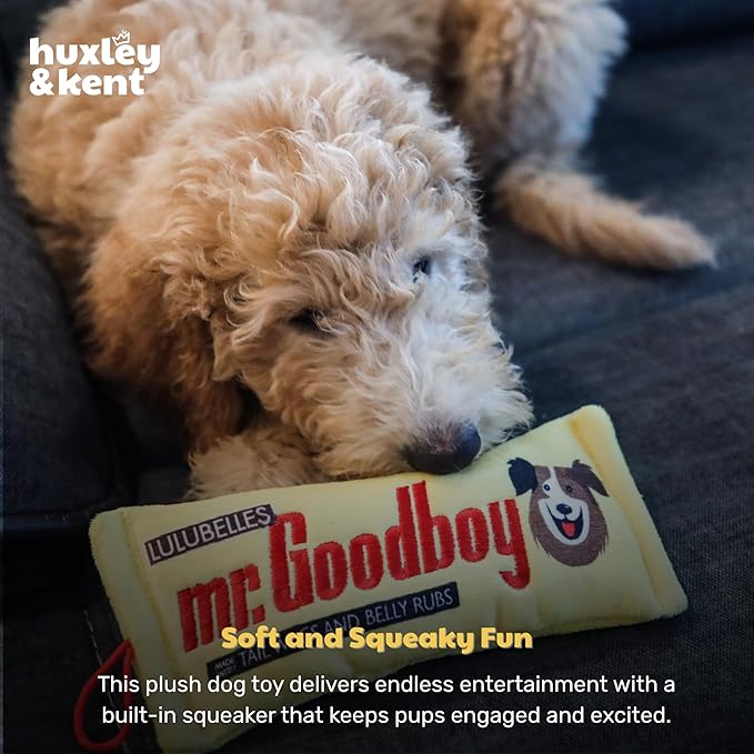 Huxley & Kent Funny Dog Toy w/Squeaker – Power Plush Squeaky Dog Toys for Small, Medium & Large Dogs – Soft Stuffed Animal for Indoor Play & Fetch - Mr Goodboy, Small