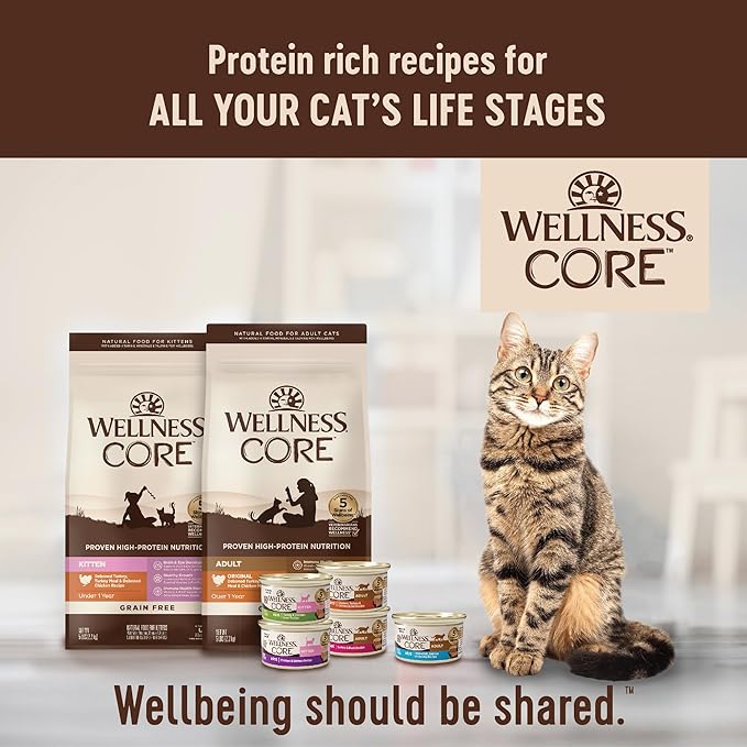 Wellness CORE Grain-Free Kitten Formula Dry Cat Food, 5 Pound Bag (Pack of 2)