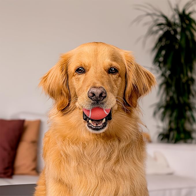 Playology Dog Toys | Squeaky Chew Ball - Bouncy Durable Floating Fetch Ball for Dogs | Jumbo Beef Scented Toy - Easy to Clean and Made from Non Toxic Materials