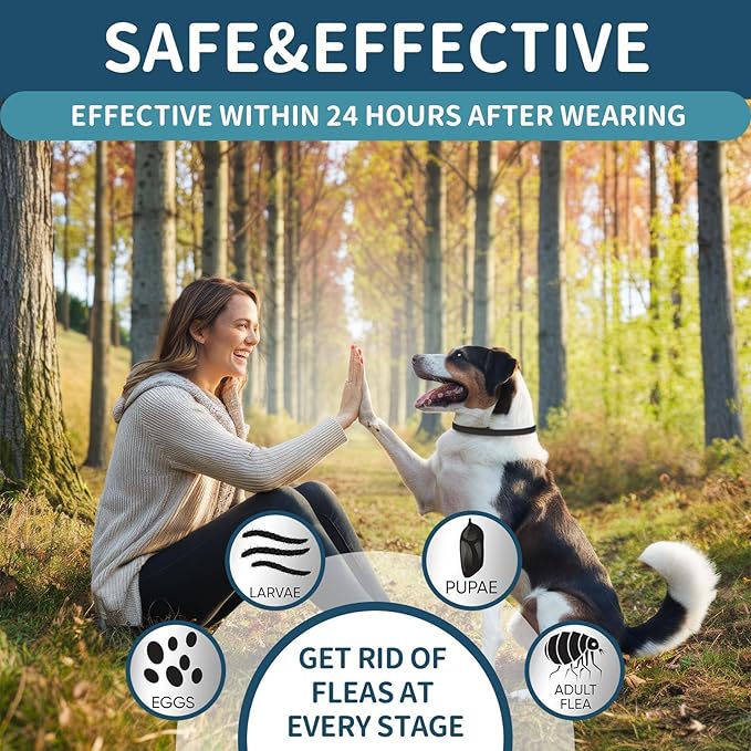 Flea and Tick Collar for Dogs 4 Pack, 32 Months Prevention, Waterproof, Adjustable for Small Medium Large Dogs Puppies (Black)