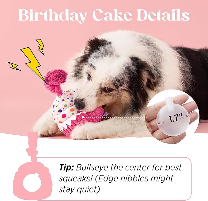 LE SURE Dog Birthday Cake Toy - Cute Squeaky Dog Toy for Gentle Chewers with Interactive Tug Rope, Plush Interactive Toy for Adult Dogs Birthday Party, Standard, Pink
