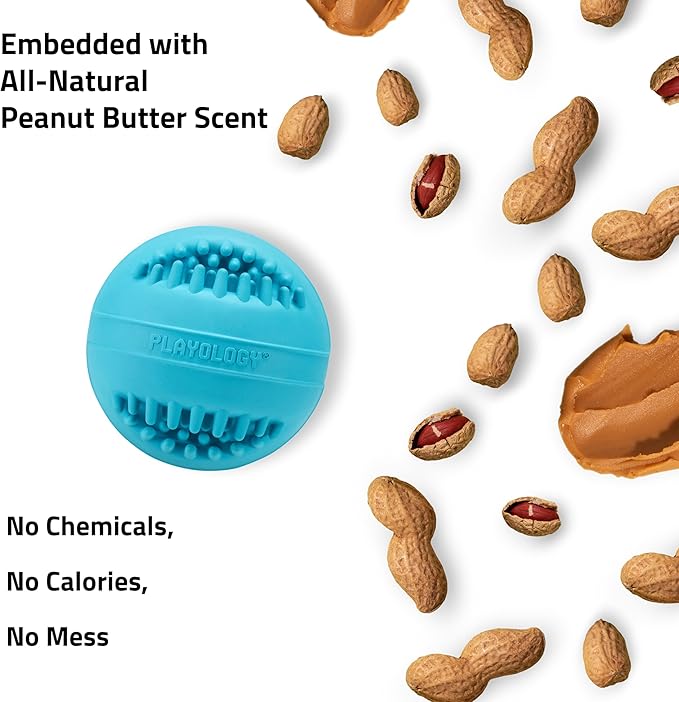 Playology Dog Toys | Dental Chew Ball Gentle on Gums | Medium Peanut Butter Scented Toy - Easy to Clean and Made from Non Toxic Materials
