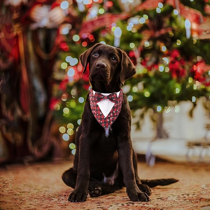 ADOGGYGO Christmas Dog Tuxedo Bandana, Red Plaid Pet Chritstmas Tux with Bowtie Adjustable Christmas Formal Costume for Medium Dogs Pets (M)