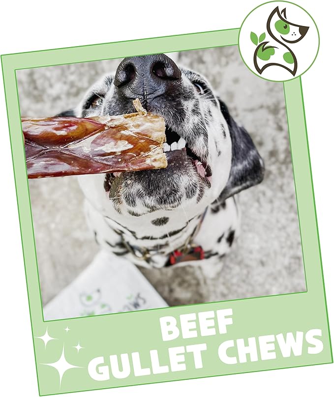 Nature Gnaws Beef Gullet Chews for Large Dogs 9-10" (50 Count) - Natural Beef Jerky Stick Dog Chew Treats - Rawhide Free