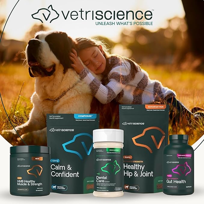 VetriScience Extra Strength Hip & Joint Supplement for Dogs, GlycoFlex 3 –Vet Formulated Glucosamine, MSM & Green-Lipped Mussel Chews for Mobility, Flexibility & Joint Support, Chicken Flavor, 60ct
