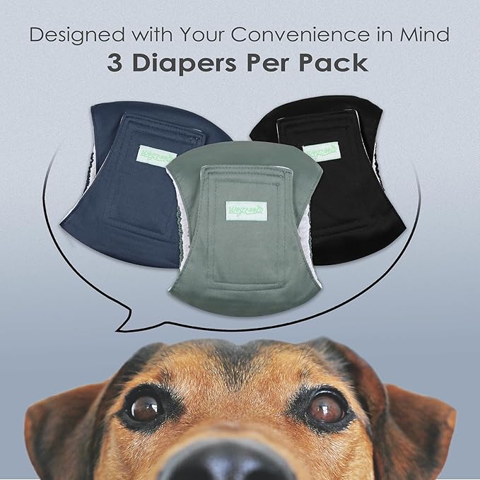 wegreeco Washable Male Dog Belly Band (Stylish Pattern)- Pack of 3 - Washable Male Dog Belly Wrap, Dog Diapers Male (Blue, Green, Black, Medium)