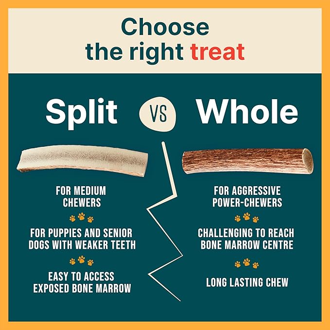 100% Natural - Elk Antlers for Dogs (3 Pack) - Chewers - Naturally Shed in USA - Dog Antler Chews for Medium Breeds - Natural, Long-Lasting Treats for Aggressive Chewers - No Odor & No Mess - Medium