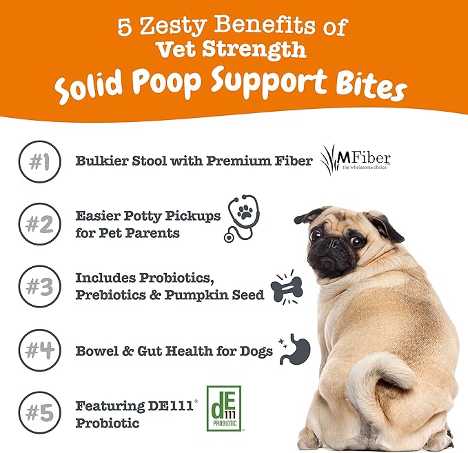 Zesty Paws Solid Poop Support Bites - Dog Stool Hardener - Pumpkin for Dogs with Prebiotics & Probiotics - Veterinarian Formulated Soft Chews - for Diarrhea Relief - 90 Ct