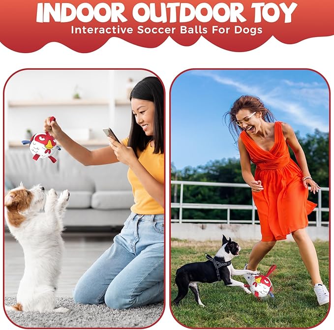 QDAN Dog Toy Balls: Pet Training Soccer Ball Dog Toy with Straps- Puppy Extra Small Dog Balls Beach Pool, Dogs Herding Ball, (5 Inch)