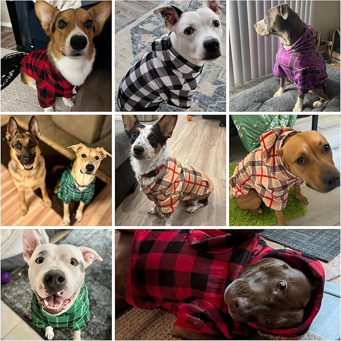 KOOLTAIL Plaid Dog Hoodie for Small Medium Large Dogs - Pet Clothes Sweater with Hat and Pocket for Cold Weather Winter, Warm Soft Dog Hooded Sweatshirt Coat Outfit for Puppy Cats Girls Boys Green M