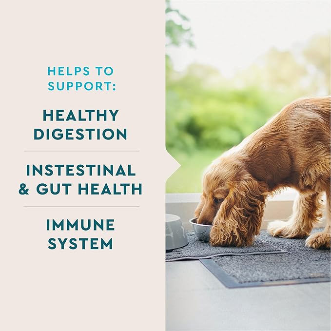 VetIQ Probiotic Supplement for Dogs, Dog Probiotics for Digestive Health, Nourishes Gut Bacteria and Supports Bowel Function, Hickory Smoke Flavor, Made in The USA, 180 Count