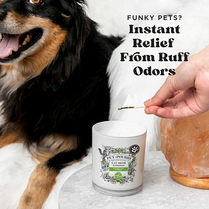 Pet-Pourri Purrfectly Bamboo Cat Deodorizer Candle – Cat Safe Plant Based Ingredients & Wax – Vet Approved – Aromatherapy & Air Freshener for Kitty Odor – Scented with Bamboo, Jasmine & Pear