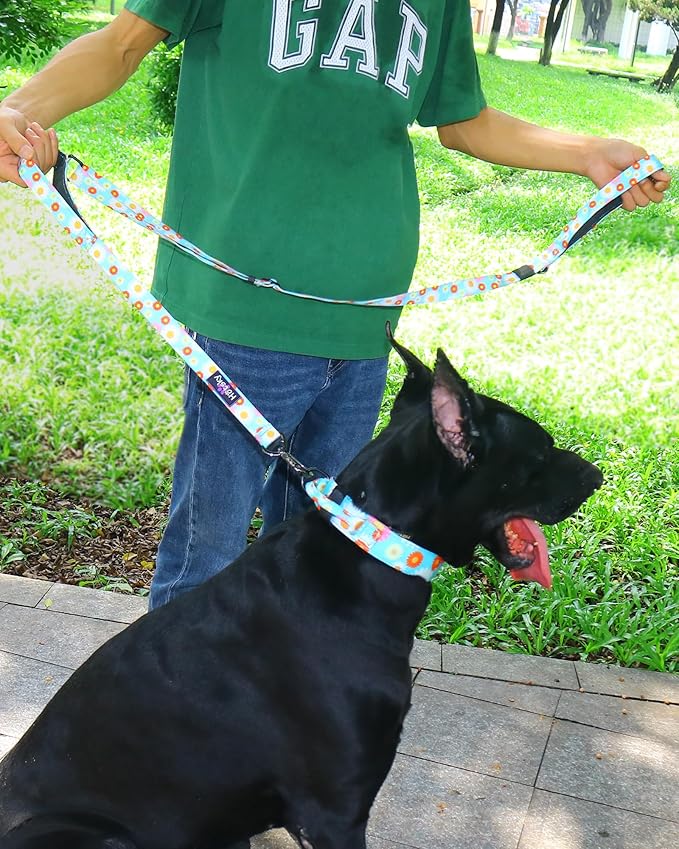 Hotsky Heavy Duty Dog Leash,4.5-6 FT Adjustable Durable Nylon Seatbelt Lead with Two Padded Traffic Handle and Carabiner for Large Medium and Small Breed Dogs,Daisy
