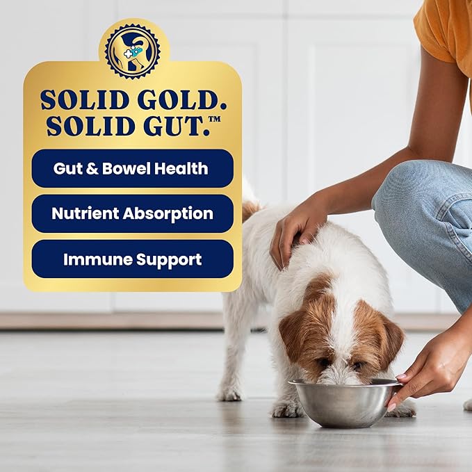 Solid Gold Wet Dog Food Topper & Meal Cups - W/Beef & Sweet Potato for Hip & Joint Support, Sensitive Stomachs & Gut Health - for Puppy, Adult & Senior Small Breed & Large Breed Dogs - 3.5oz/6 Pack