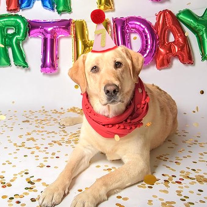 Pet Birthday Hat with Interchangeable Numbers 1-10 | Adjustable Pet Party Cone Hat for Dogs & Cats | Puppy Birthday Photo Props for 1st to 10th Birthday Celebrations (Red Pink Birtgday Pet Hat)